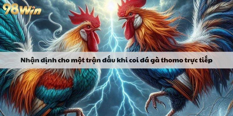 nhan-dinh-cho-mot-tran-dau-khi-coi-da-ga-thomo-truc-tiep