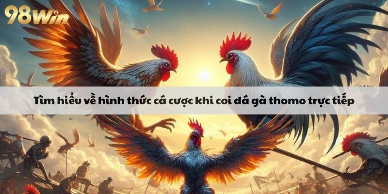 tim-hieu-ve-hinh-thuc-ca-cuoc-khi-coi-da-ga-thomo-truc-tiep